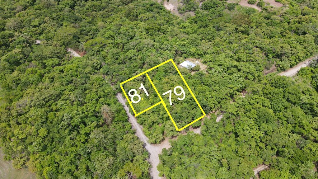 dji_fly_20230626_14314 PM_635_1687808633386_photo