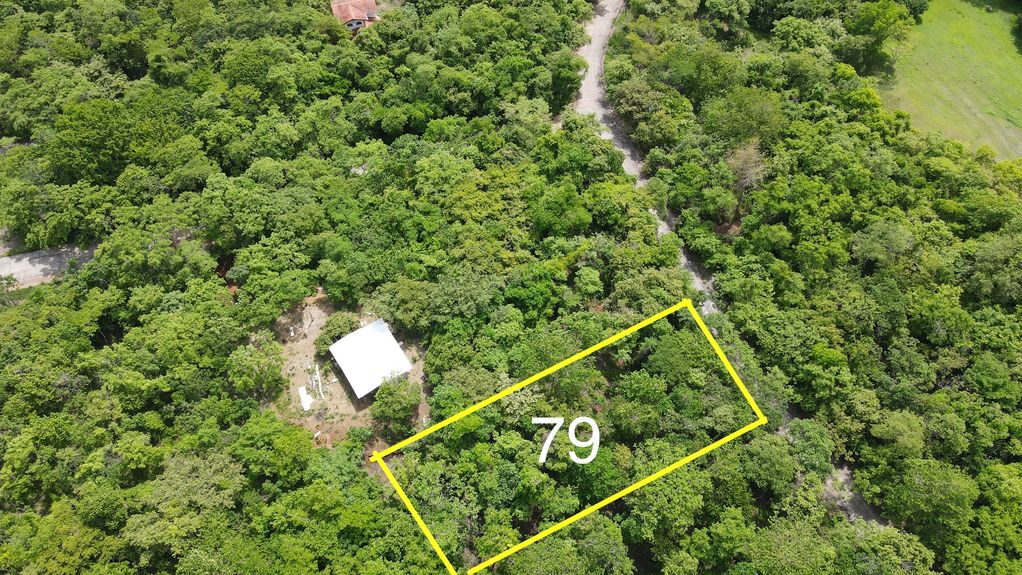 dji_fly_20230626_14446 PM_640_1687808755387_photo