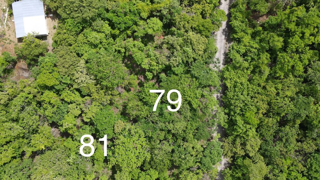 dji_fly_20230626_14538 PM_644_1687808776294_photo