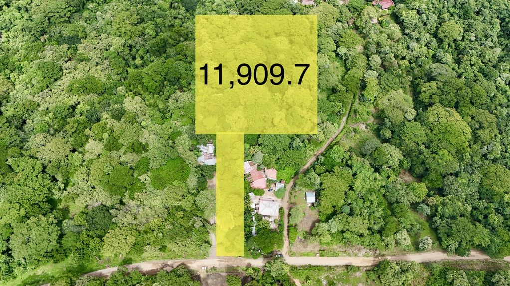 dji_fly_20231102_124348 PM_0198_1698957557445_photo