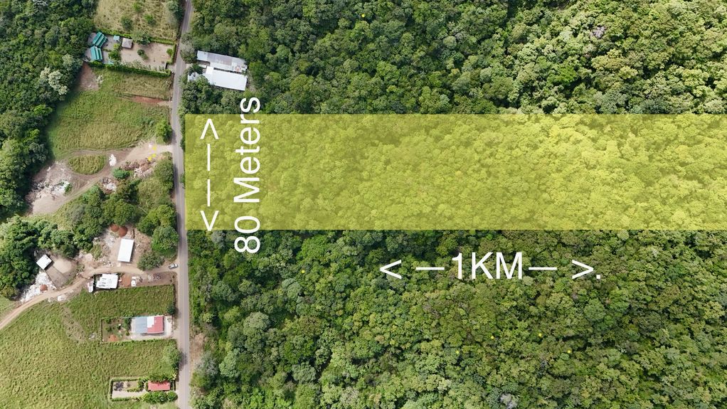 dji_fly_20231213_124326 PM_0361_1703870362057_photo