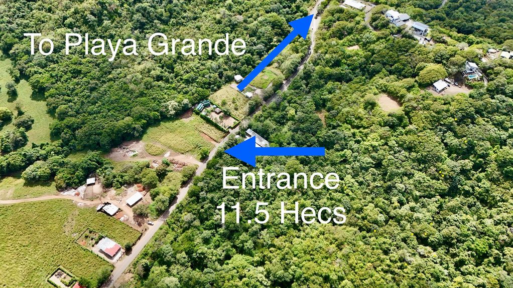 dji_fly_20231213_124422 PM_0368_1703870353601_photo