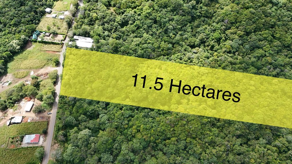 dji_fly_20231213_124430 PM_0369_1703870352337_photo