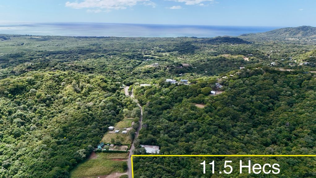 dji_fly_20231213_124446 PM_0370_1703870350969_photo