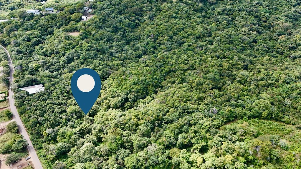 dji_fly_20231213_124458 PM_0372_1703870348754_photo