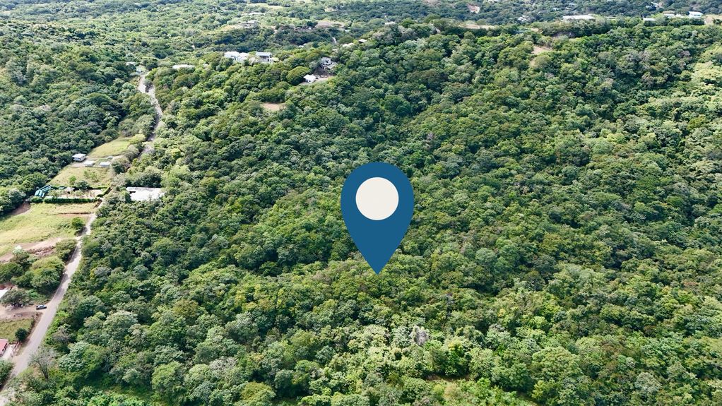 dji_fly_20231213_124522 PM_0373_1703870347401_photo