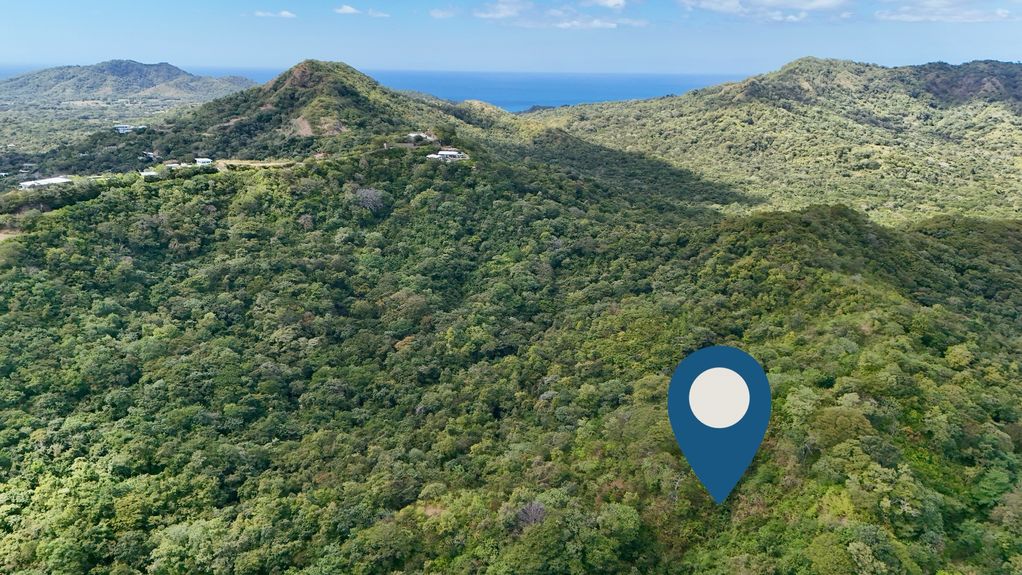 dji_fly_20231213_124536 PM_0375_1703870345083_photo