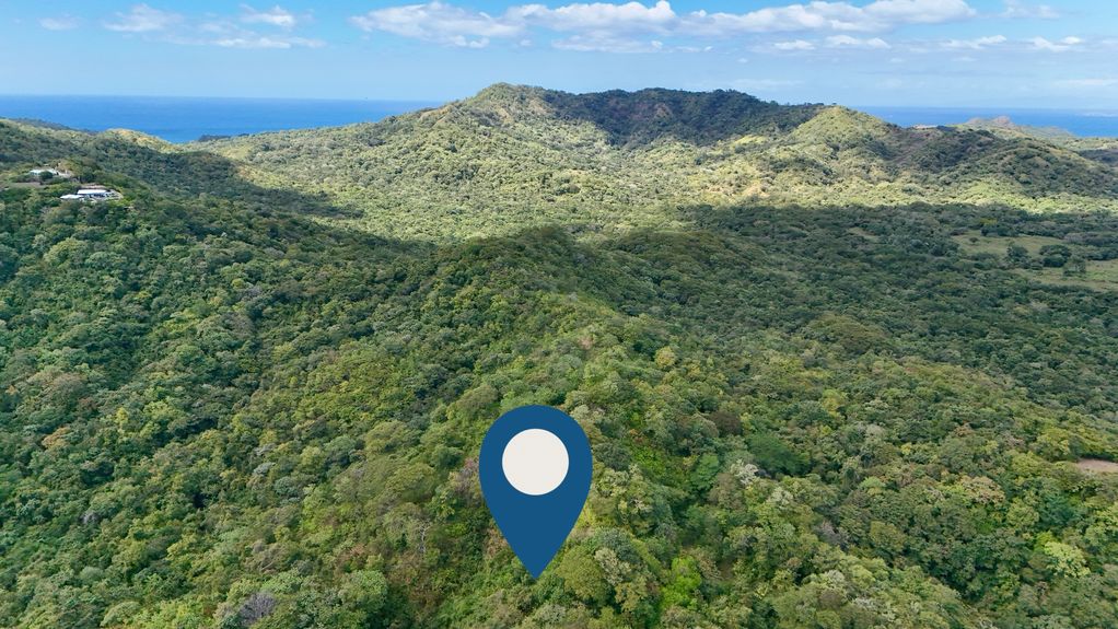 dji_fly_20231213_124546 PM_0376_1703870344037_photo