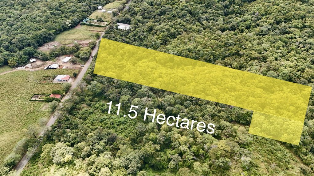 dji_fly_20231213_124556 PM_0378_1703870341841_photo