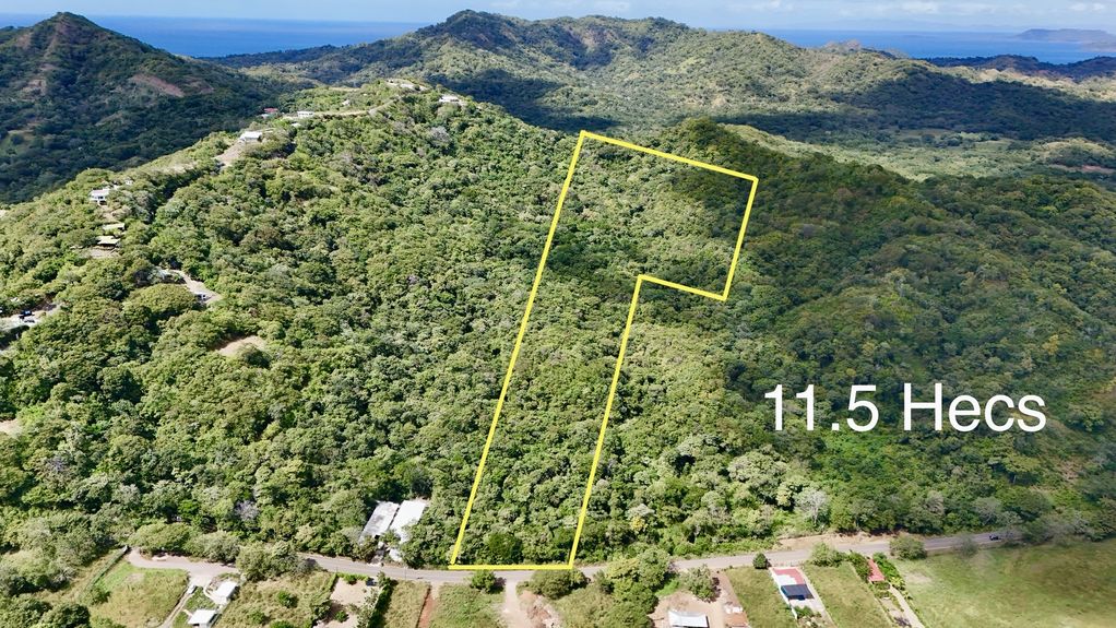 dji_fly_20231213_124744 PM_0385_1703870333672_photo