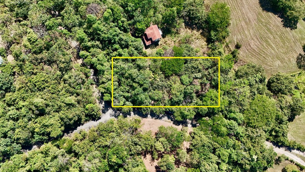 dji_fly_20240104_10516 PM_0405_1704402330916_photo