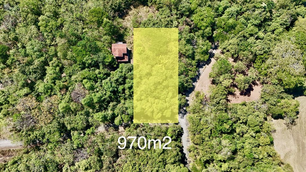 dji_fly_20240104_10530 PM_0406_1704402329556_photo