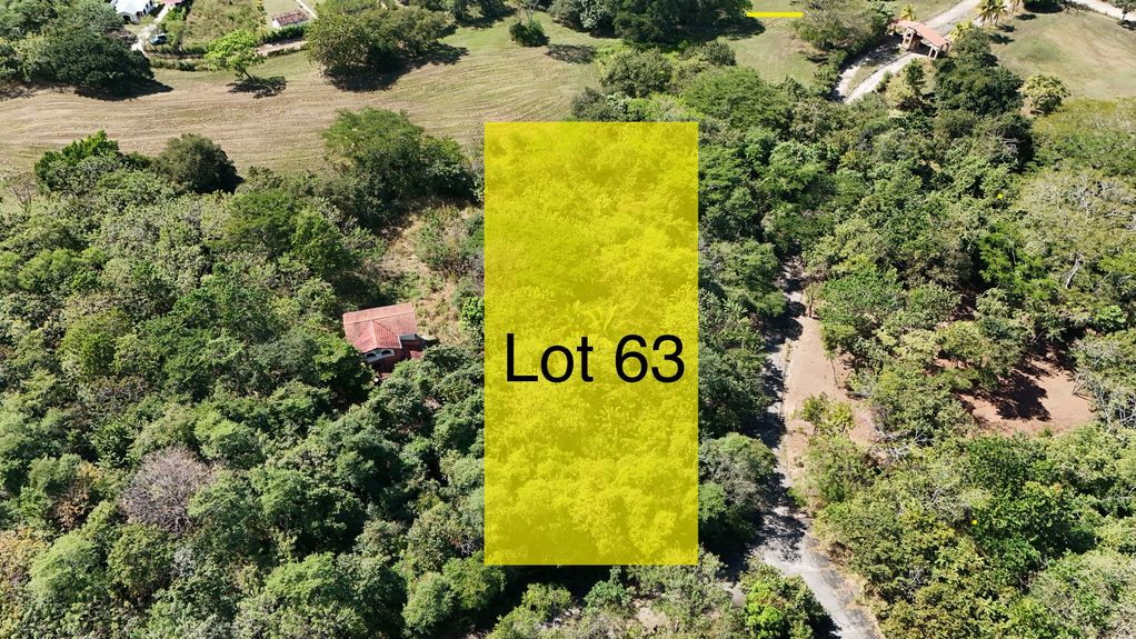 dji_fly_20240104_11142 PM_0412_1704402322664_photo