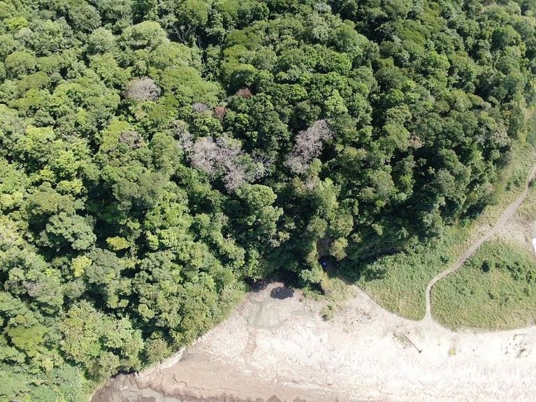 e91e88ea-d2e9-47ce-887c-e88db69effcf