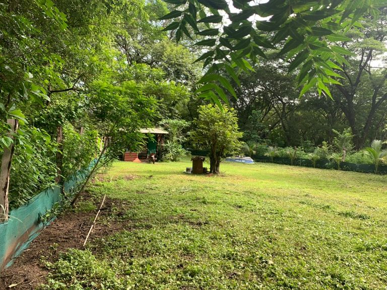 ec4b4e81-5204-4332-bba5-a883d137ae60