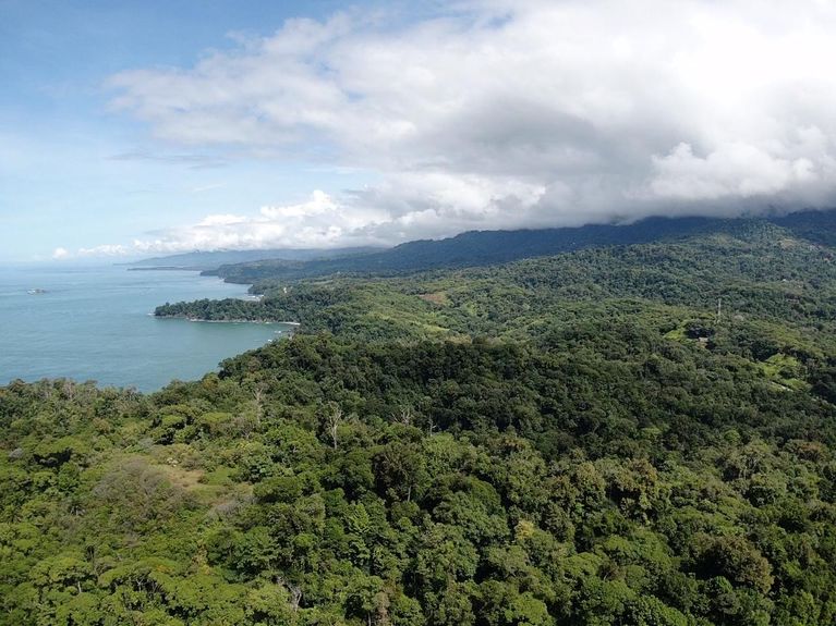 f3630131-7967-4341-bbb8-7ff24fec1d97