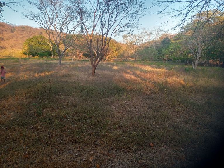 4153b33e-b1f4-4654-b1cf-1d07b6daad76