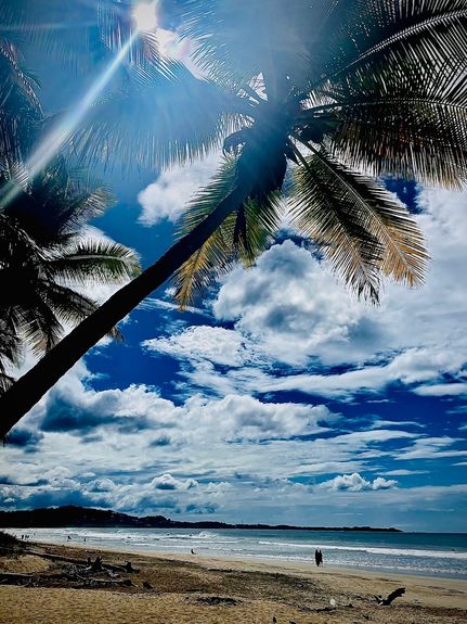 58bee8bf-bc41-44d2-886a-85b6f3400d44