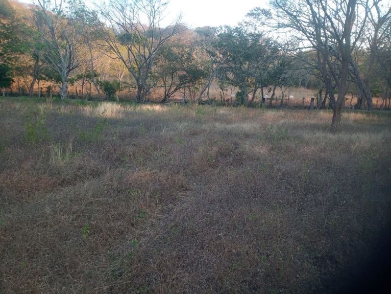 83e391f4-e81b-43fb-aa30-b910fb1b582f