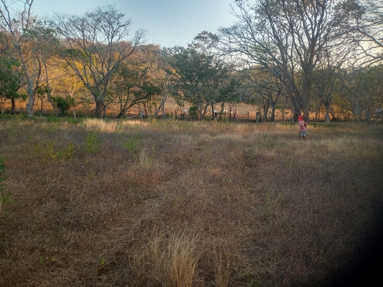 d48594af-d083-4927-91b5-99e03d8893d8