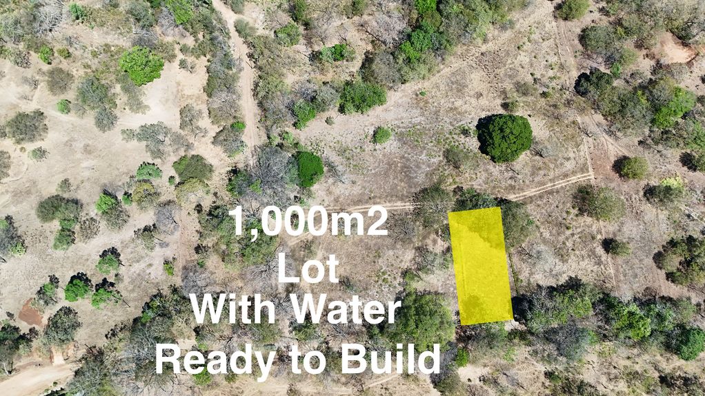 dji_fly_20240226_104022 AM_0784_1708974507822_photo