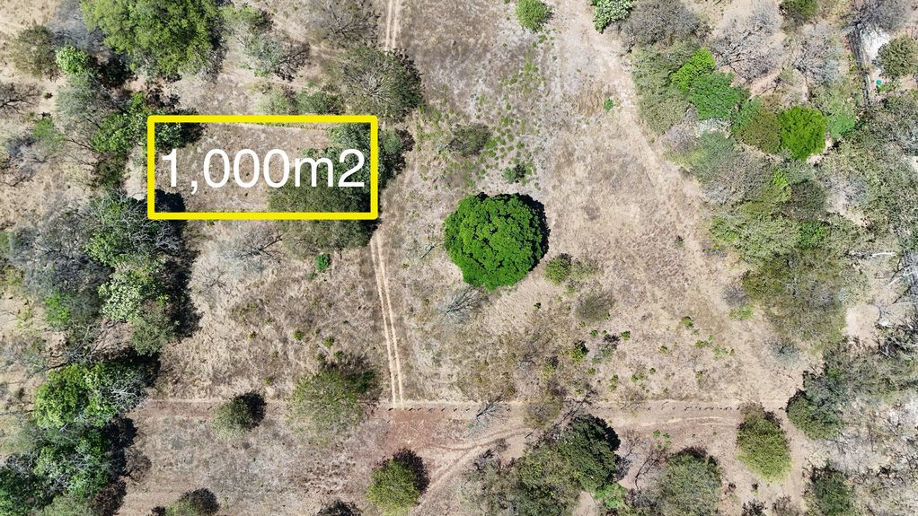 dji_fly_20240226_104156 AM_0791_1708974500058_photo