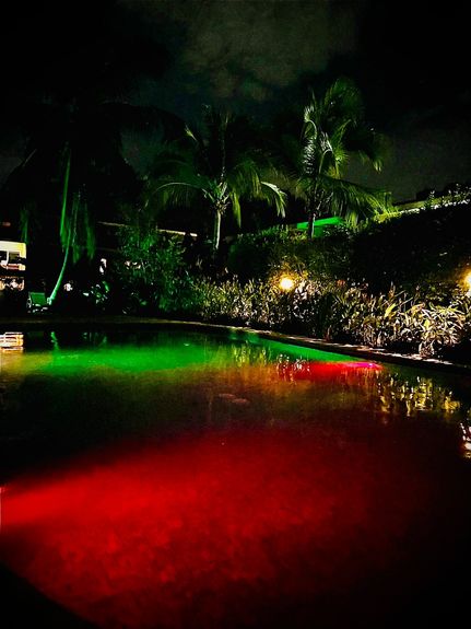 edb6d005-51f1-47e5-9507-212bcd4506f8