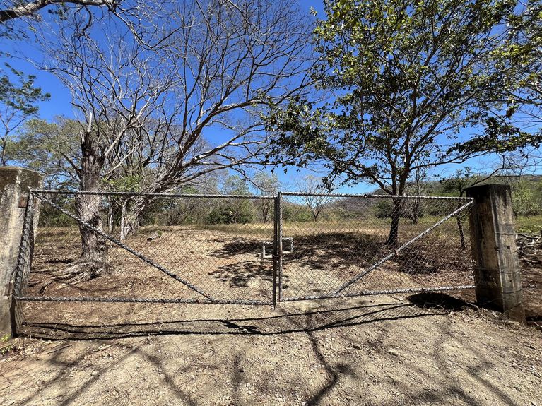 uuid=2396F6C6-CCAB-49B1-9E30-E30C4D439A83&library=1&type=1&mode=2&loc=true&cap=true