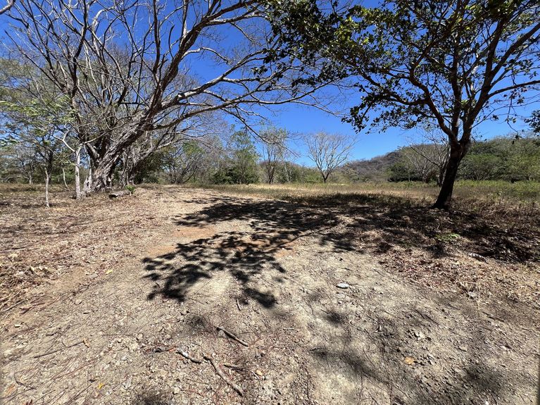 uuid=4929D914-8CE0-4BB9-A365-FB14DADC6A5A&library=1&type=1&mode=2&loc=true&cap=true