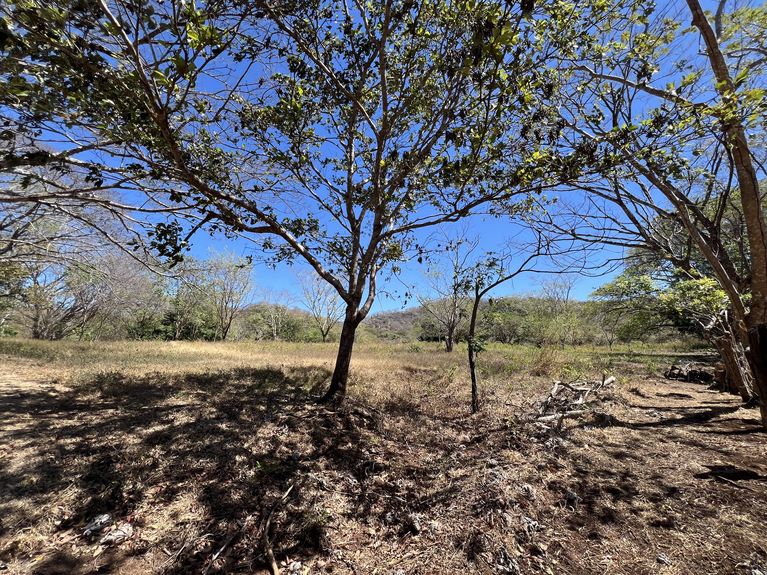 uuid=8BE66416-47F5-4D8B-B9F3-59853AFCD6F5&library=1&type=1&mode=2&loc=true&cap=true