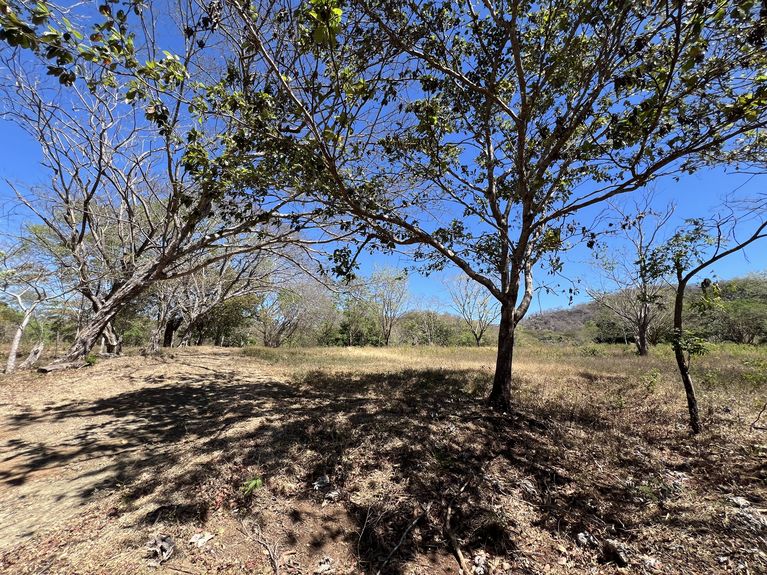 uuid=8E2ED89F-6668-455E-8A98-1F4AA409EA65&library=1&type=1&mode=2&loc=true&cap=true