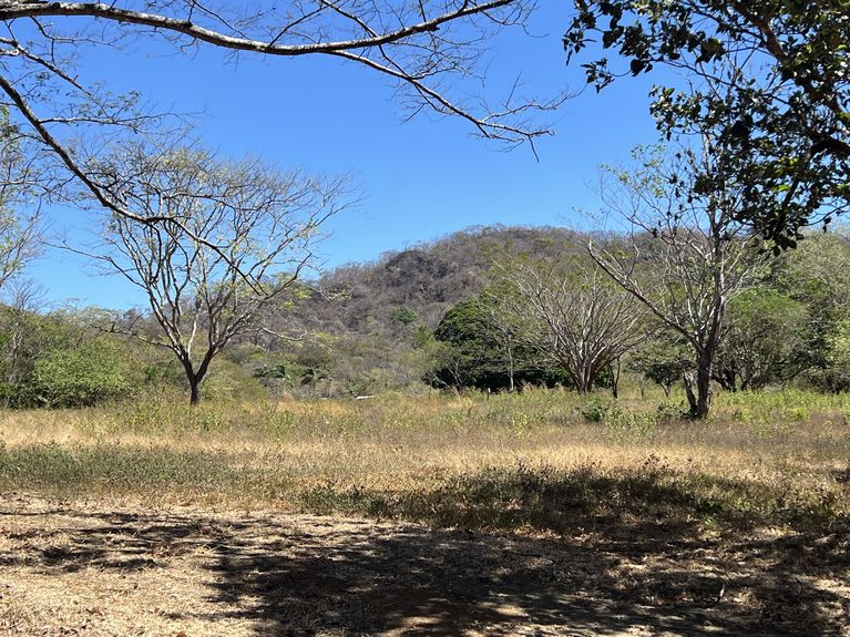 uuid=E62DE1B4-8019-4E45-AB18-6CD7E4AD692F&library=1&type=1&mode=2&loc=true&cap=true