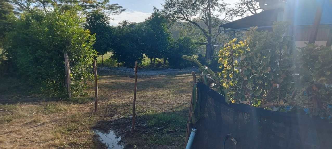 1bb7c310-8eaf-4492-aa72-357b542a1e9d