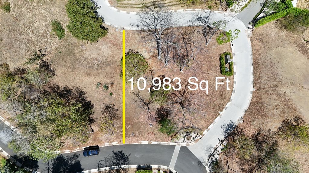 dji_fly_20240302_21354 PM_0793_1709346258548_photo