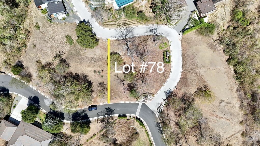 dji_fly_20240302_21402 PM_0794_1709346257118_photo