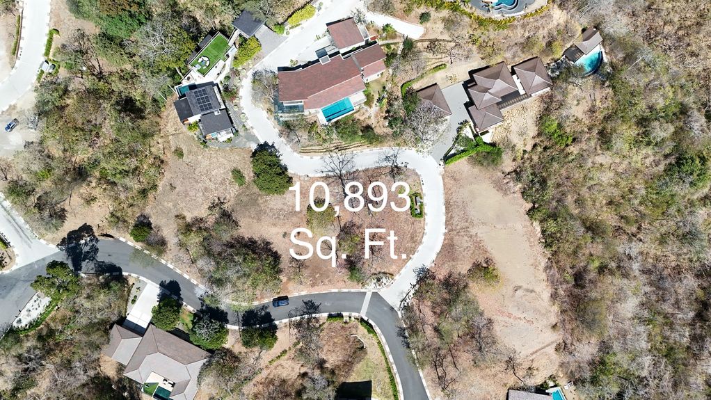 dji_fly_20240302_21412 PM_0795_1709346255679_photo