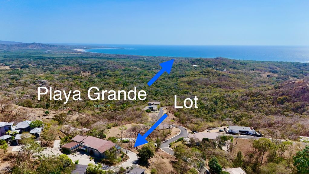 dji_fly_20240302_21616 PM_0799_1709346250229_photo