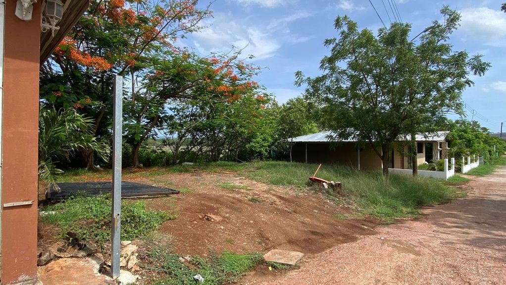 44966061-42be-40a5-a5da-77432c0e1a6e