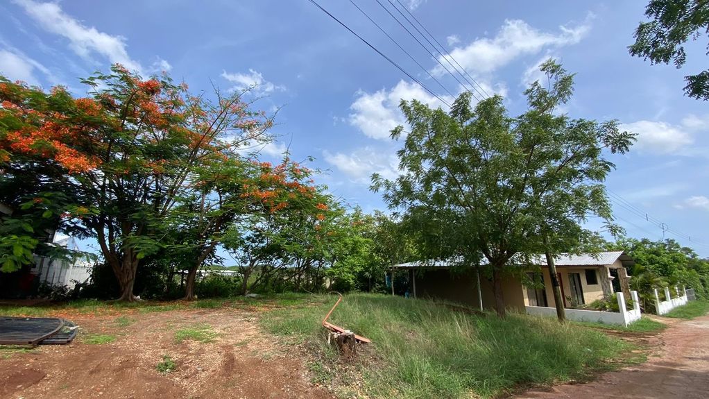 d77b8a03-c0b6-4f9b-8ff1-e77cc298b820