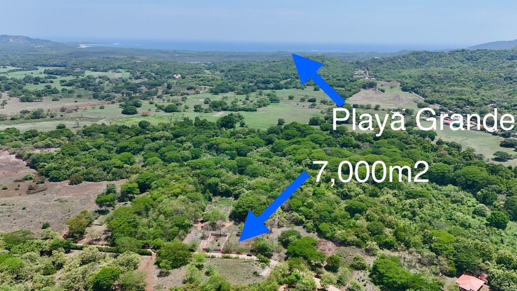 dji_fly_20240519_123016 PM_0965_1716235797472_photo 2