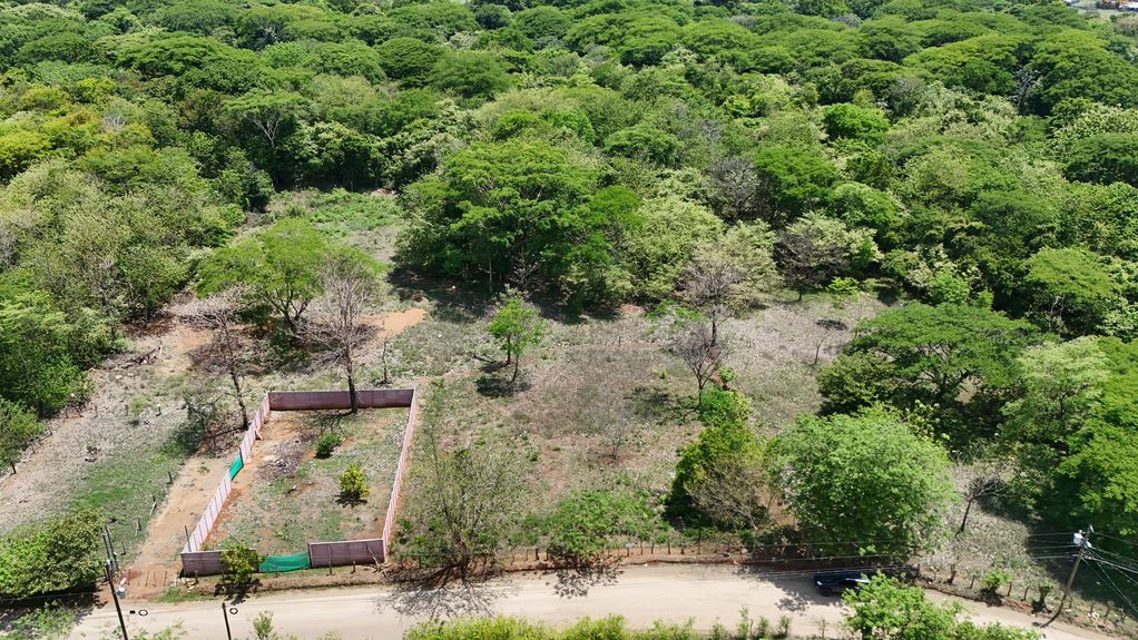 dji_fly_20240519_123122 PM_0966_1716235796312_photo 2