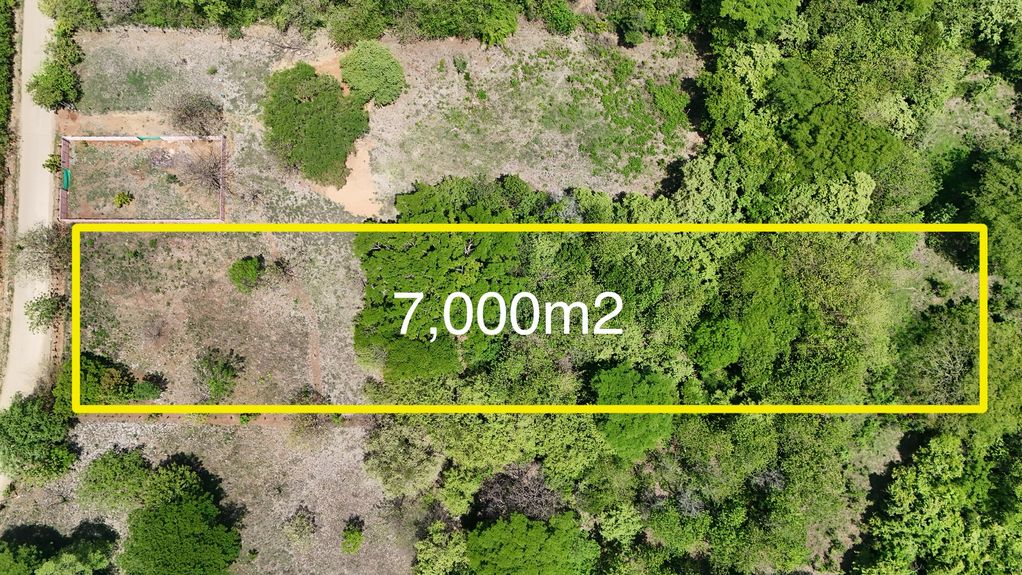 dji_fly_20240519_123350 PM_0974_1716235785442_photo 2