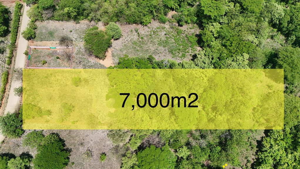 dji_fly_20240519_123400 PM_0975_1716235783863_photo 2