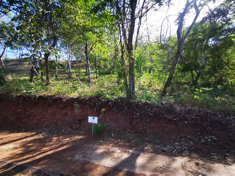 WhatsApp Image 2024-02-02 at 8.31.45 AM