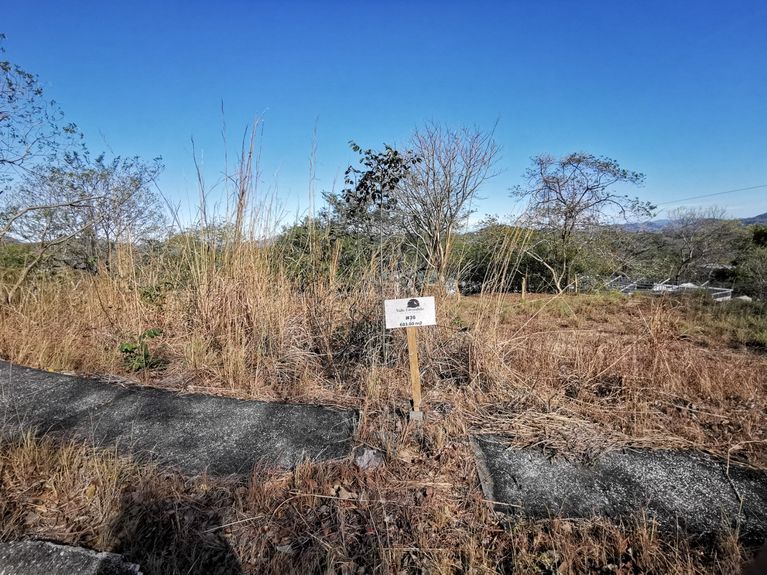 WhatsApp Image 2024-02-02 at 8.33.45 AM (1)