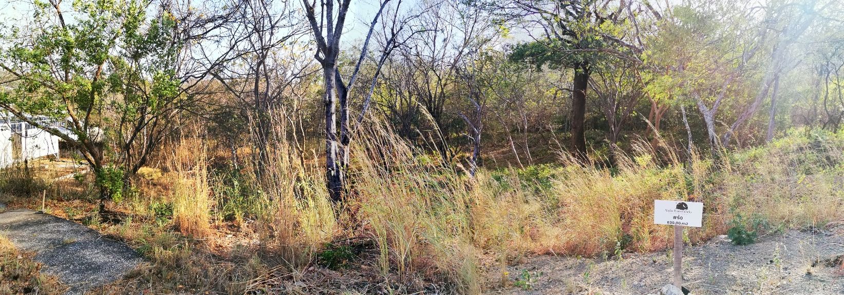 WhatsApp Image 2024-02-02 at 8.34.03 AM