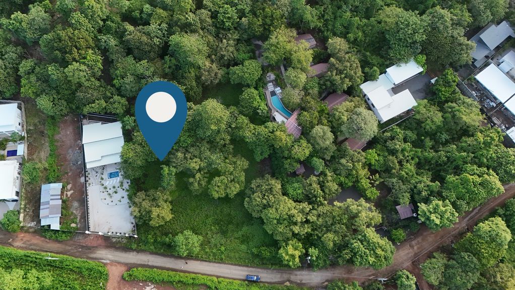 dji_fly_20240630_54732 PM_0003_1719861130663_photo