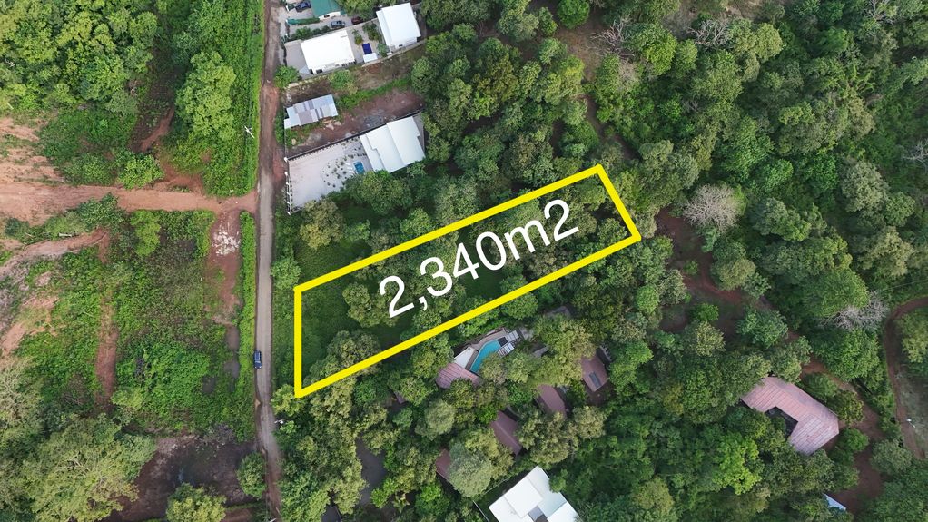 dji_fly_20240630_55344 PM_0019_1719861063556_photo 2