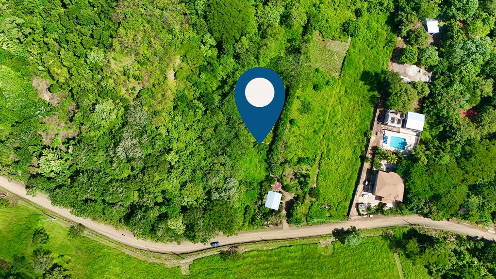 dji_fly_20240712_93326 AM_0026_1720990708708_photo