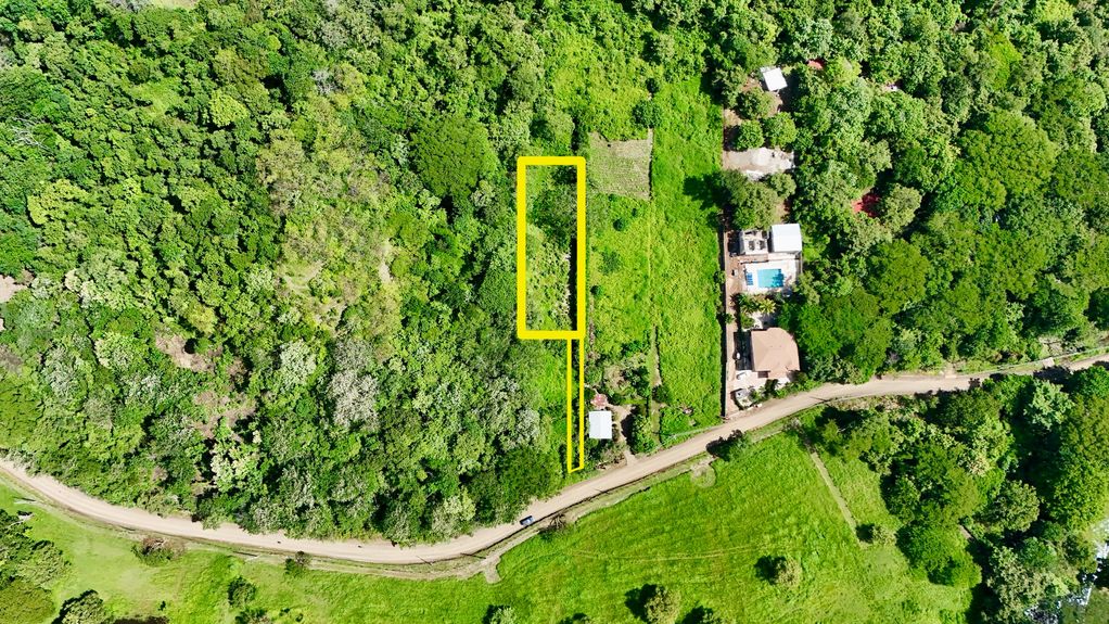 dji_fly_20240712_93340 AM_0027_1720990707375_photo